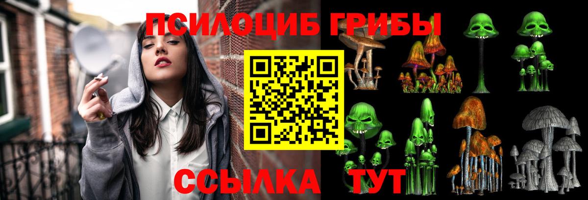 Псилоцибиновые грибы Psilocybine cubensis  Галлюциногенные грибы MAGIC MUSHROOMS  Вход с VPN  Ярославль 